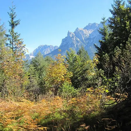 Lebensfreude Apartament *