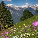 Lebensfreude Appartamento Mittenwald
