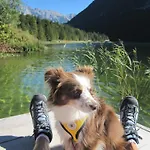 Lebensfreude